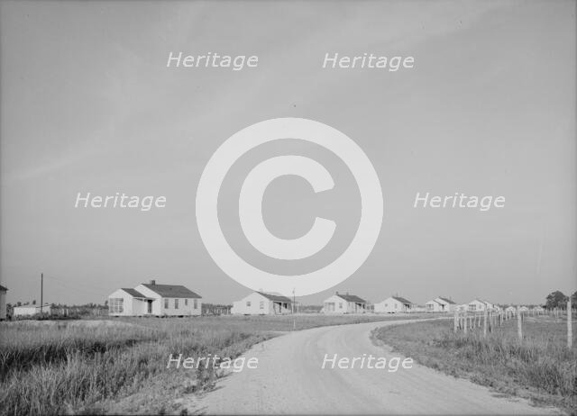 Houses at Lake Dick cooperative, Arkansas, 1938. Creator: Dorothea Lange.