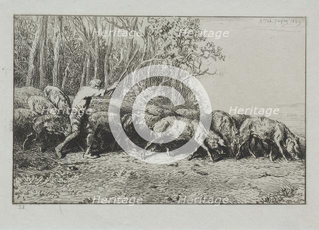 Troupeau de pores sortant dune bois. Creator: Charles-Émile Jacque (French, 1813-1894).