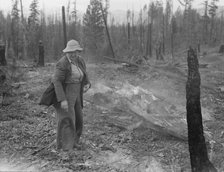 Family work clearing land by burning, near Bonners Ferry, Boundary County, Idaho, 1939. Creator: Dorothea Lange.