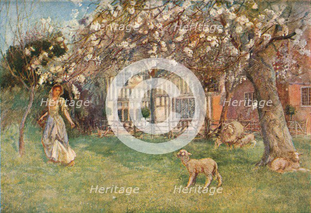 'Lambs', c1904. Artist: Herbert Alexander Collins.