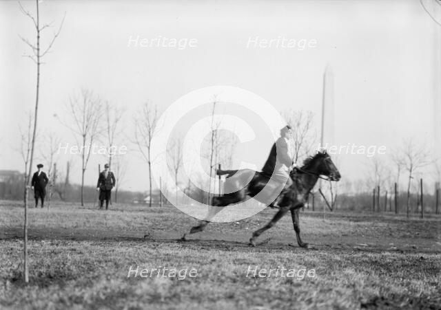 Wrisley Brown, Attorney - Riding, 1914. Creator: Harris & Ewing.