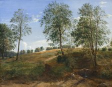The Caroline Spring at Næsby on Funen, 1844-1845. Creator: Dankvart Dreyer.