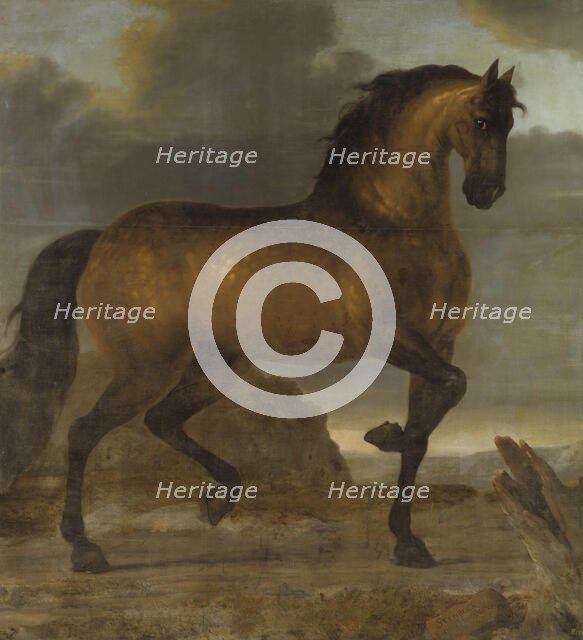 Charles XI's favourite horse Capricorn, 1673. Creator: David Klocker Ehrenstrahl.