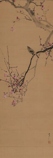 Japanese nightingale, on a red plum branch, 1910. Creator: Seitei (Shotei); Watanabe (1851-1918).