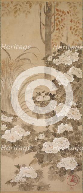 Flowers and Foliage of Autumn, mid 1700s. Creator: Tatebayashi Kagei (Japanese).
