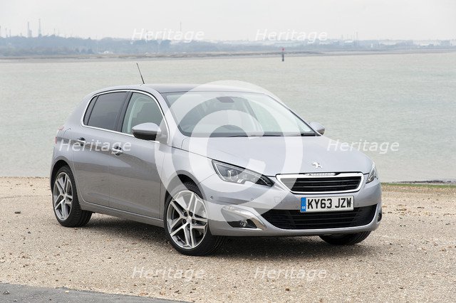 2014 Peugeot 308 THP 156 Feline Artist: Unknown.