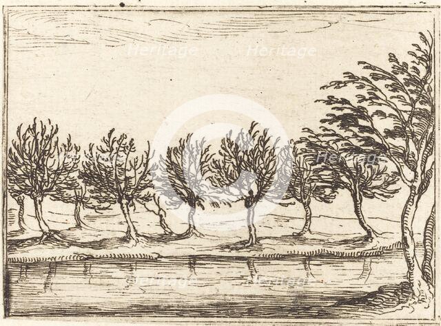 Willows by the Water's Edge, 1628. Creator: Jacques Callot.