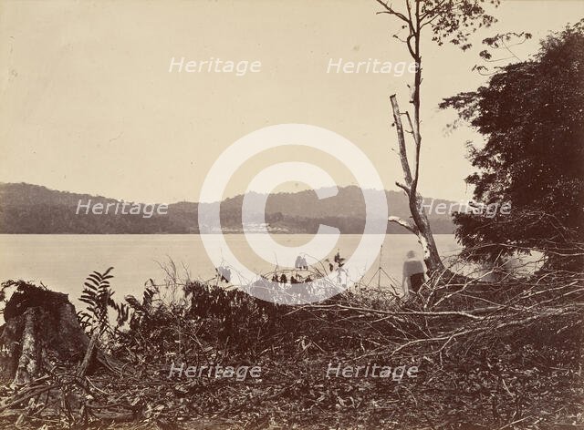 Tropical Scenery, Darien Harbor, Chipigana, 1871. Creator: John Moran.