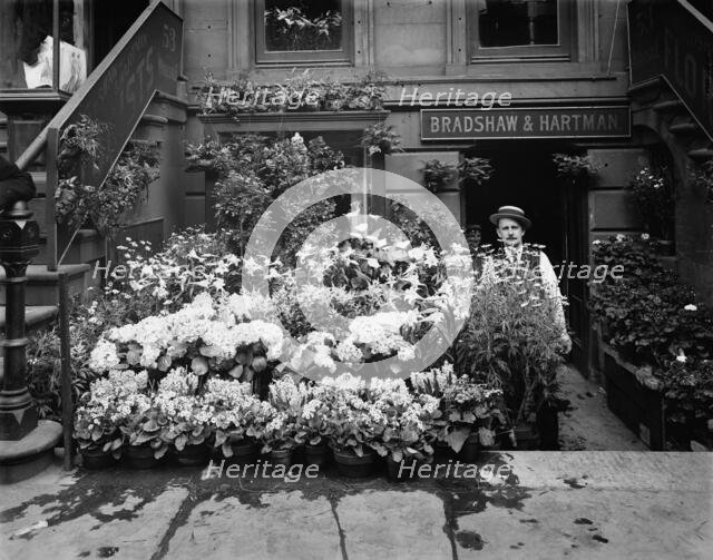 An Easter floral display, New York, between 1900 and 1905. Creator: Unknown.