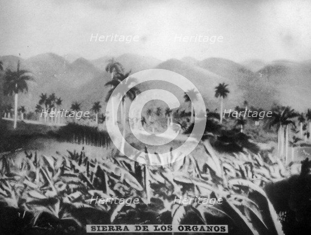 Sierra de los Organos, (1896), 1920s. Artist: Unknown