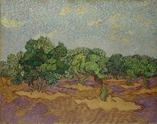 Olive Trees, 1889. Creator: Vincent van Gogh.
