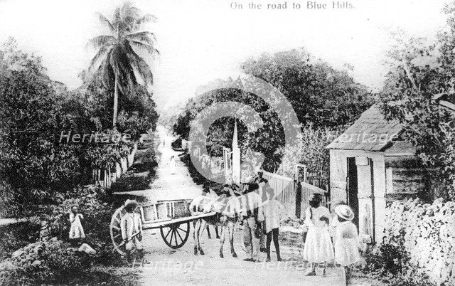 On the road to Blue Hills, Bahamas, c1900s. Artist: Unknown