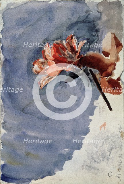 Red Azalea, 1886-1887. Artist: Vrubel, Mikhail Alexandrovich (1856-1910)