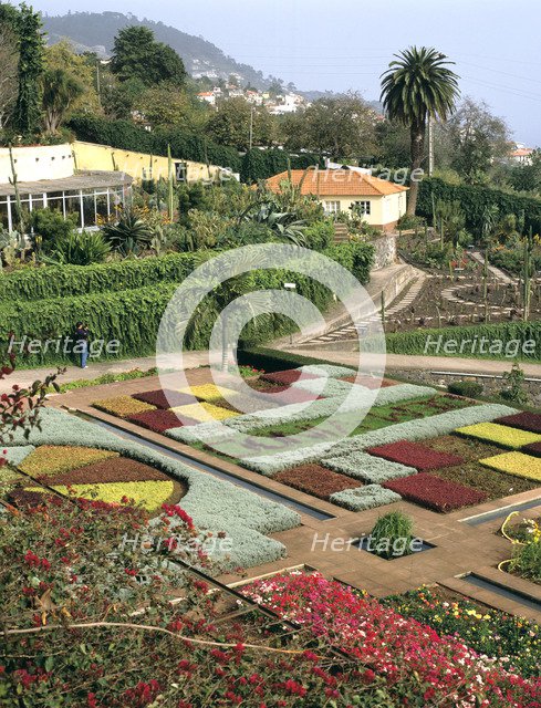 Botanical gardens, Funchal, Madeira, Portugal
