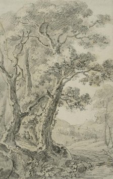 Landscape with tall trees in the foreground, unknown date. Creator: Anon.