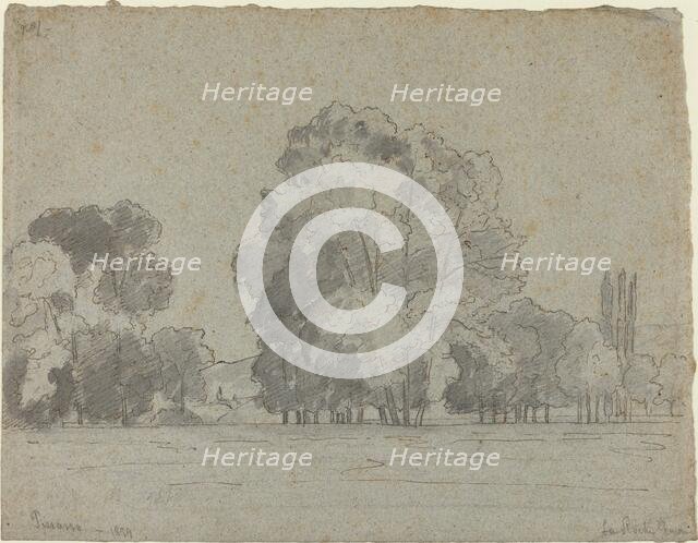 Grove of Trees, 1859. Creator: Camille Pissarro.