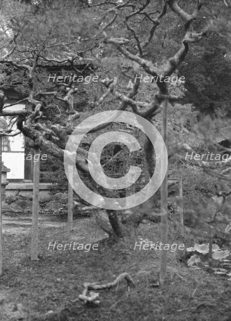 Travel views of Japan and Korea, 1908. Creator: Arnold Genthe.