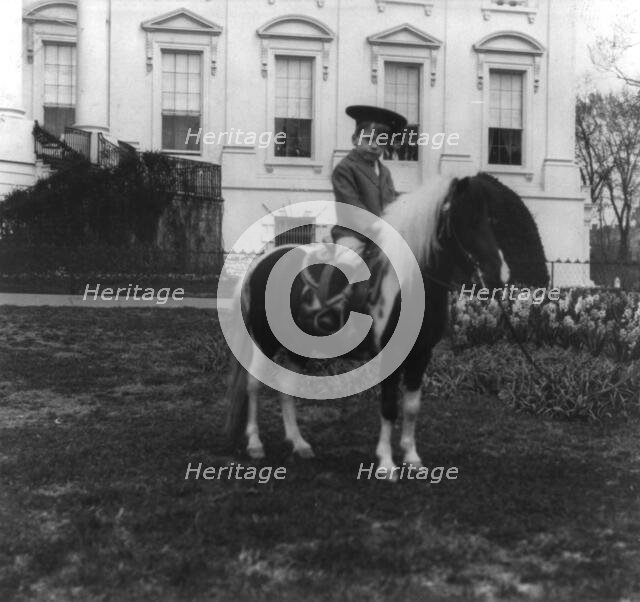 Quentin Roosevelt on a pony, c1902 June 17. Creator: Frances Benjamin Johnston.