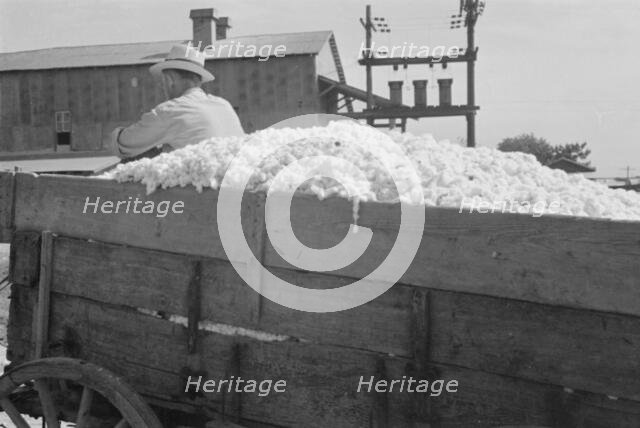 At the cotton gin, Cotton gin and wagons, Hale County, Alabama, 1936. Creator: Walker Evans.