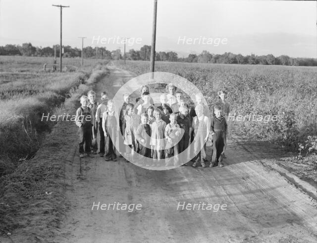 Ten families established by the FSA on the... Tulare County, CA, 1938. Creator: Dorothea Lange.