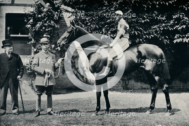 Thoroughbred racehorse, Ladas, 1894. Artist: Unknown