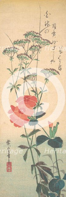 Superb Pinks and Chinese Agrimony, ca. 1836., ca. 1836. Creator: Ando Hiroshige.