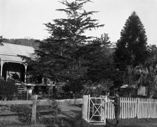 Frederick George Walker at unknown house possibly his home, c1900s. Creator: Robert Augustus Henry L'Estrange.