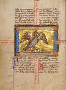 A Falcon; Bestiary, about 1270. Creator: Unknown.