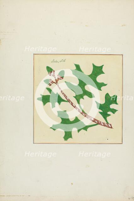 Autograph Quilt, 1935/1942. Creators: Cornelius Christoffels, Margaret Linsley.