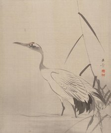 Crane Among Reeds, 1887-92. Creator: Gyokusho Kawabata.