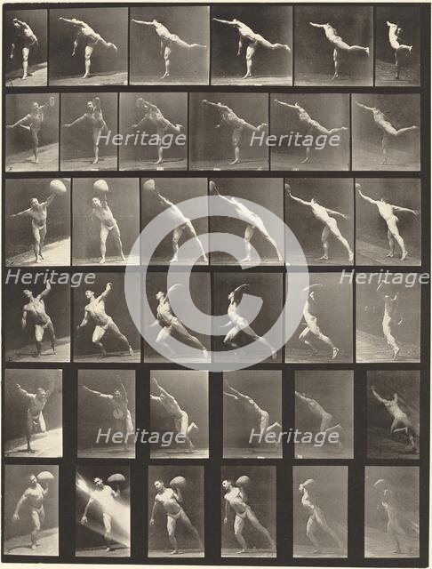 Plate Number 523. A: Striking a blow. B, E: Throwing disk. C, F: Heaving a 75-lb. Stone..., 1887. Creator: Eadweard J Muybridge.