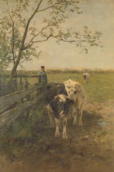 Dairy cows, 1870-1888.  Creator: Anton Mauve.