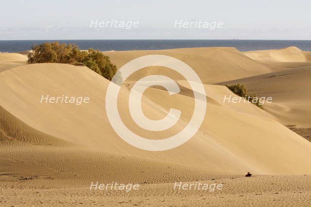 Maspalomas sand dunes, Gran Canaria, Canary Islands, Spain.