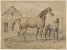 Mare and Foal, 19th century. Creator: Victor Adam.