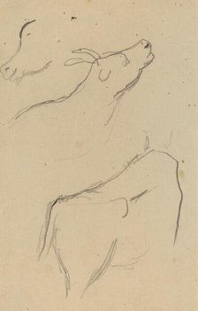 Studies of a Cow [verso], 1884-1888. Creator: Paul Gauguin.
