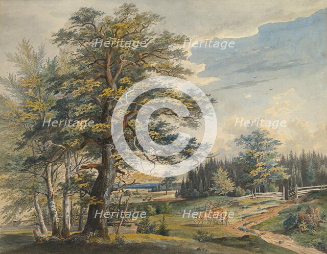 Wooded Landscape with Stag, 1800-1877. Creator: Carl August Lebschee.