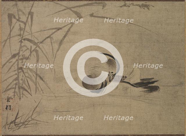 Mandarin Duck, 1500s. Creator: Sesson Sh?kei (Japanese, 1504-1589).