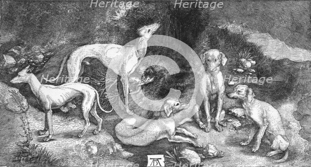 'Group of Dogs. From the engraving of St. Eustace, by A. Durer', c1500, (1906). Artist: Albrecht Durer.