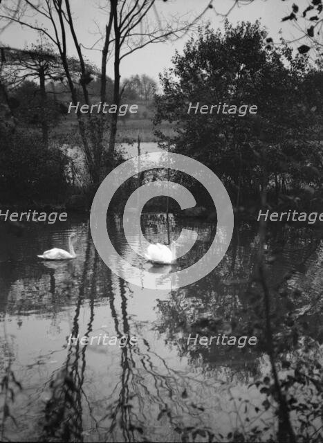 Taylor, Myron C., Mr., residence and grounds, Locust Valley, Long Island, New York, 1928 Nov. Creator: Arnold Genthe.