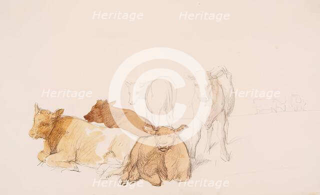 Cattle, c1840s. Creator: John Phillip.