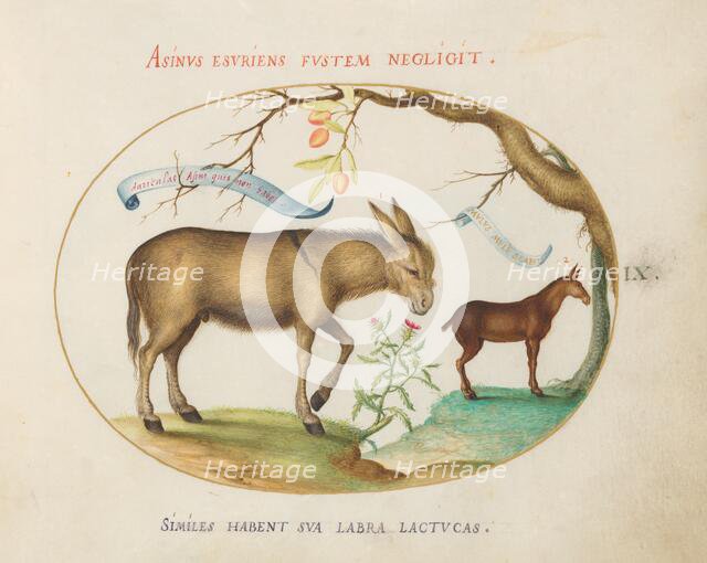 Animalia Qvadrvpedia et Reptilia (Terra): Plate IX, c. 1575/1580. Creator: Joris Hoefnagel.