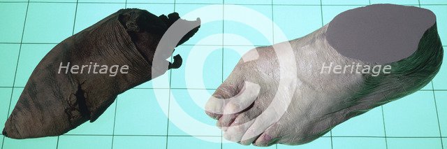 A leather shoe, late 14th century; and a model of a foot. Artist: Unknown