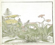 A Mirror of Competing Beauties of the Green Houses (image 20 of 20), 1776. Creators: Shunsho, Kitao Shigemasa.