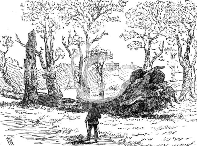 The Great Storm of Wind on Friday week: a tree uprooted near the bridge, Eton, 1881. Creator: Unknown.