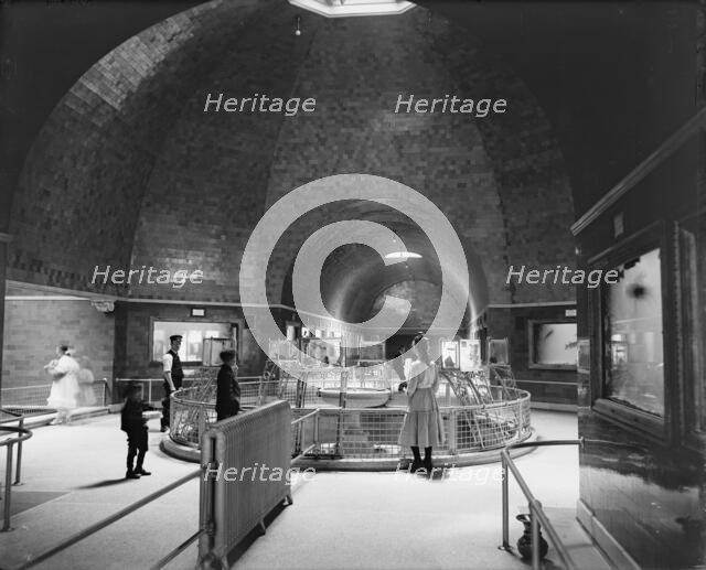 Aquarium, Belle Isle Park, interior, Detroit, Mich., between 1900 and 1910. Creator: Unknown.