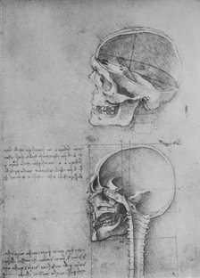 'Anatomical Drawings of Two Skulls in Profile to the Left', c1480 (1945). Artist: Leonardo da Vinci.