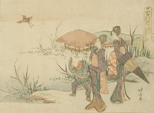 The Marsh Where the Snipe Takes Flight (Shigi tatsu sawa), from the series "Three..., Japan, n.d. Creator: Hokusai.