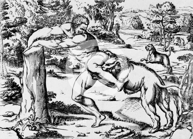 Milo of Croton, c1540. Creators: Nicolo Boldrini, Pordenone.