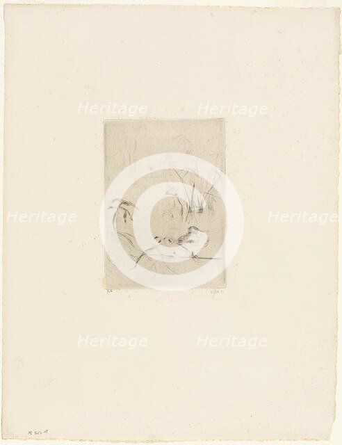 The Duck, 1889. Creator: Berthe Morisot.