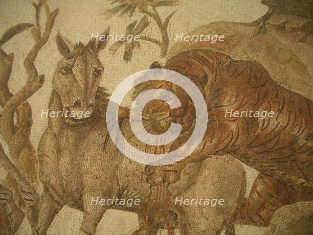 Mosaic, El Jem Museum, El Djem, Tunisia, 2009. Creator: Amanda Waite.